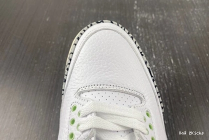 Jordan 3 Retro 102 383 SmartChoice CK9246 0724